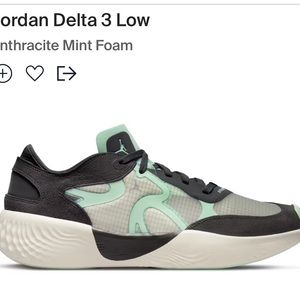 Jordan delta 3 low, anthracite /mint